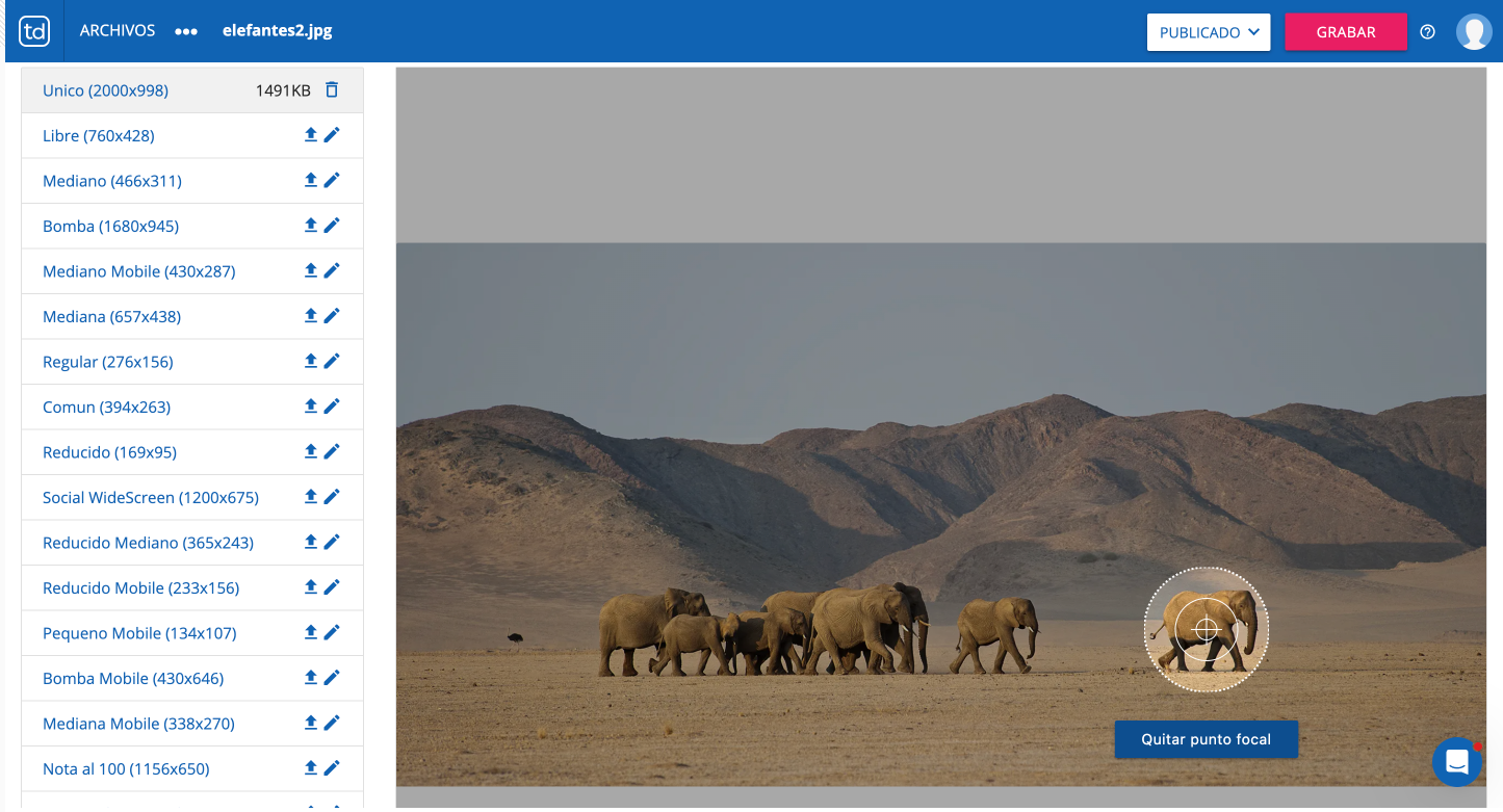 ZWxlZmFudGUyLnBuZw==