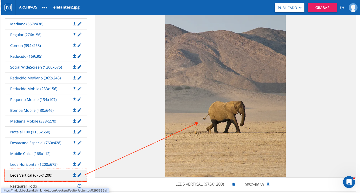 ZWxlZmFudGUzLnBuZw==