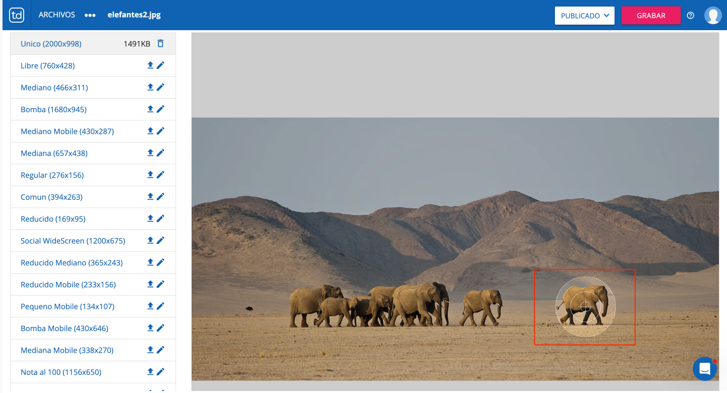 ZWxlZmVudGF0ZTEucG5n